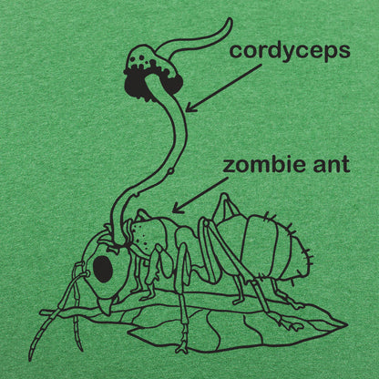 Cordyceps Zombie Ant Fungus Diagram