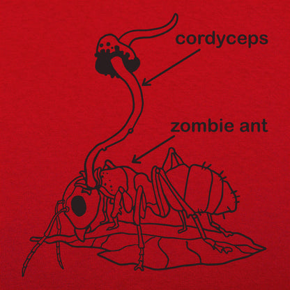 Cordyceps Zombie Ant Fungus Diagram