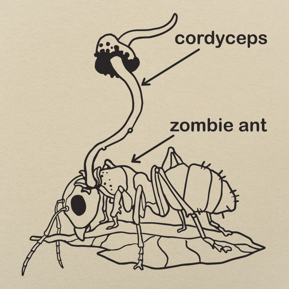 Cordyceps Ant