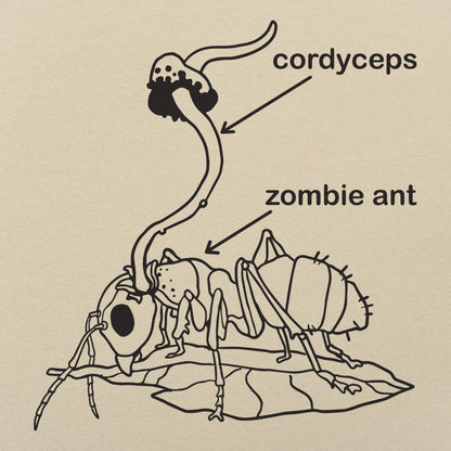 Cordyceps Zombie Ant Fungus Diagram