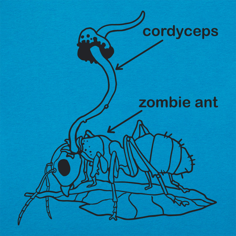 Cordyceps Ant