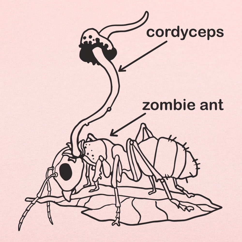 Cordyceps Ant