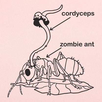 Cordyceps Zombie Ant Fungus Diagram
