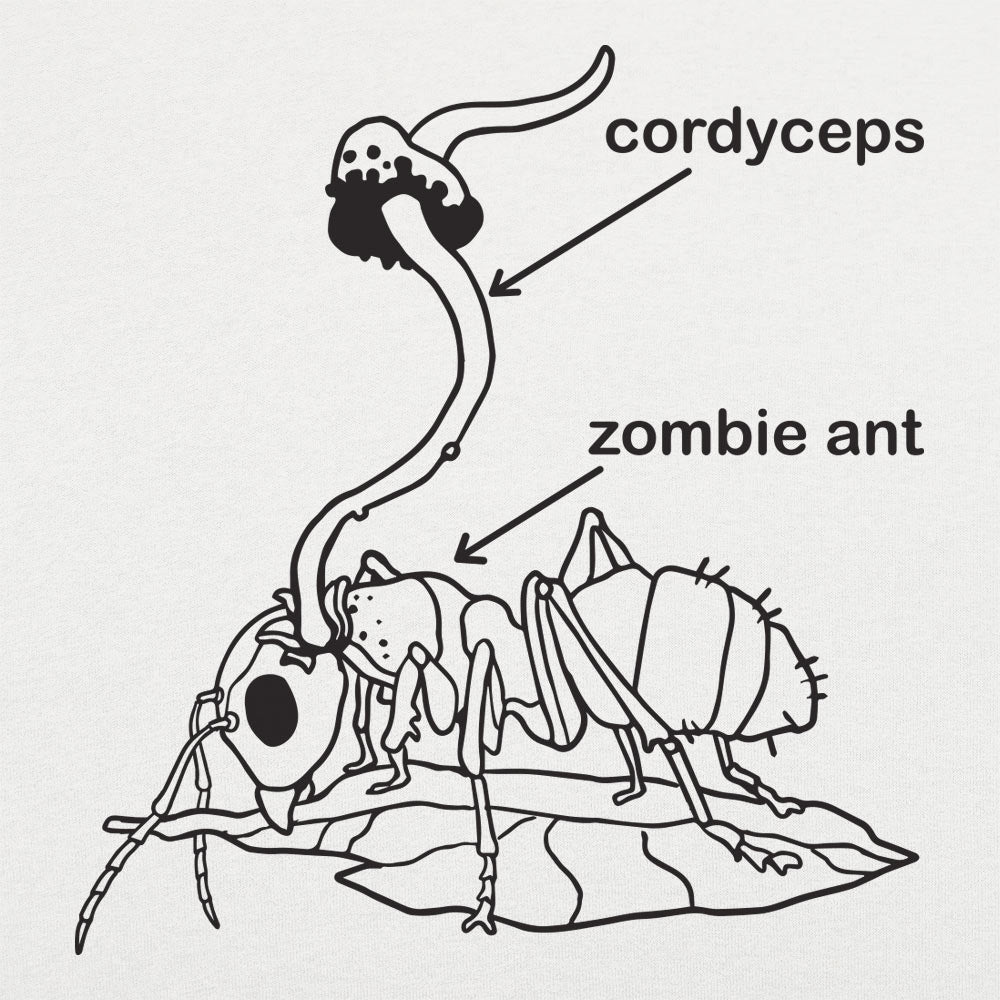 Cordyceps Ant