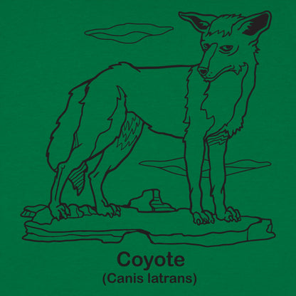 Coyote Canis Latrans Illustration