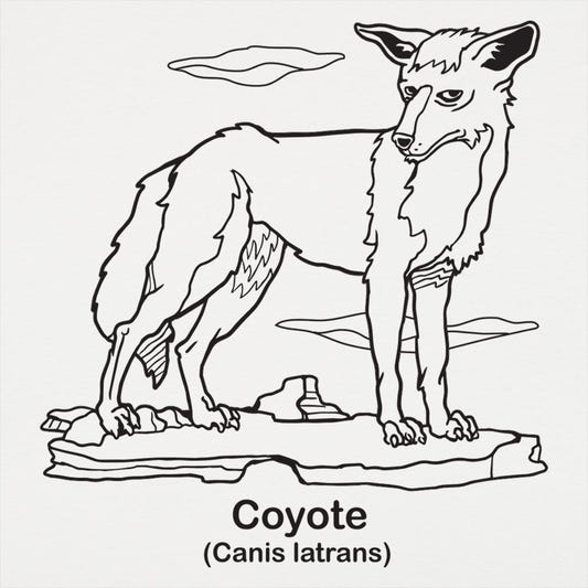 Coyote Canis Latrans Illustration graphic Unisex Heavyweight T-Shirt in White
