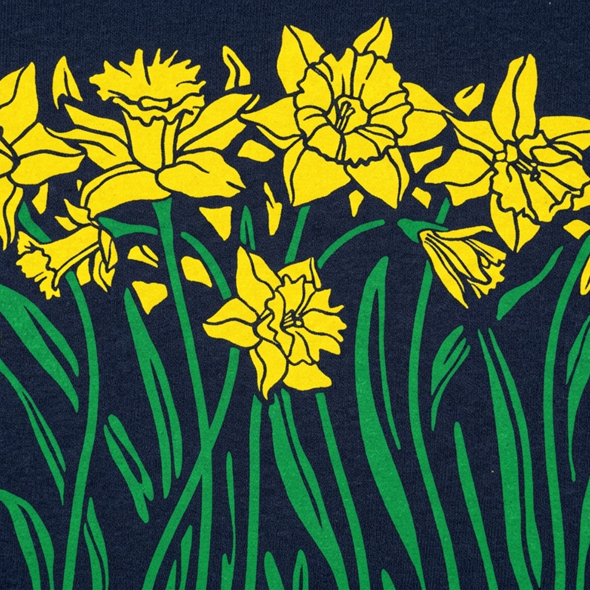 Daffodils Blooming Graphic detail
