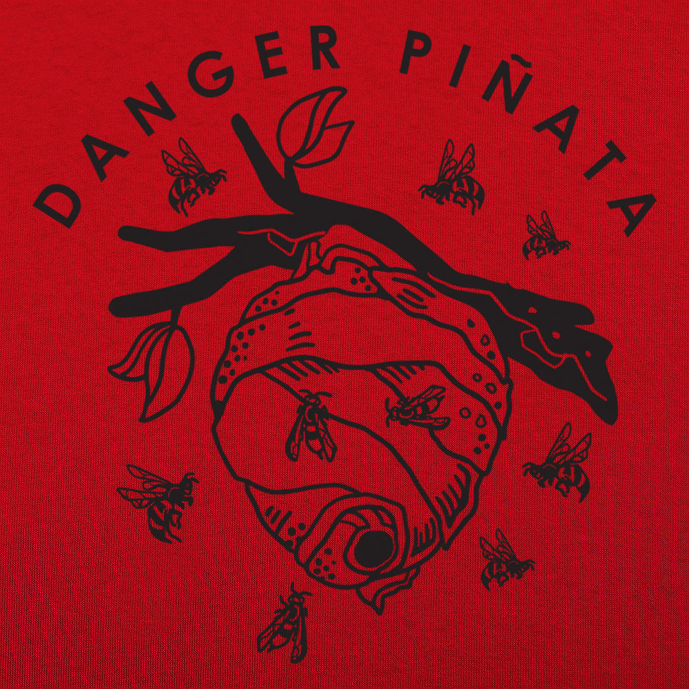 Danger Piñata