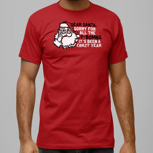 Dear Santa Sorry for All the F-Bombs This Year graphic Unisex Heavyweight T-Shirt in Red