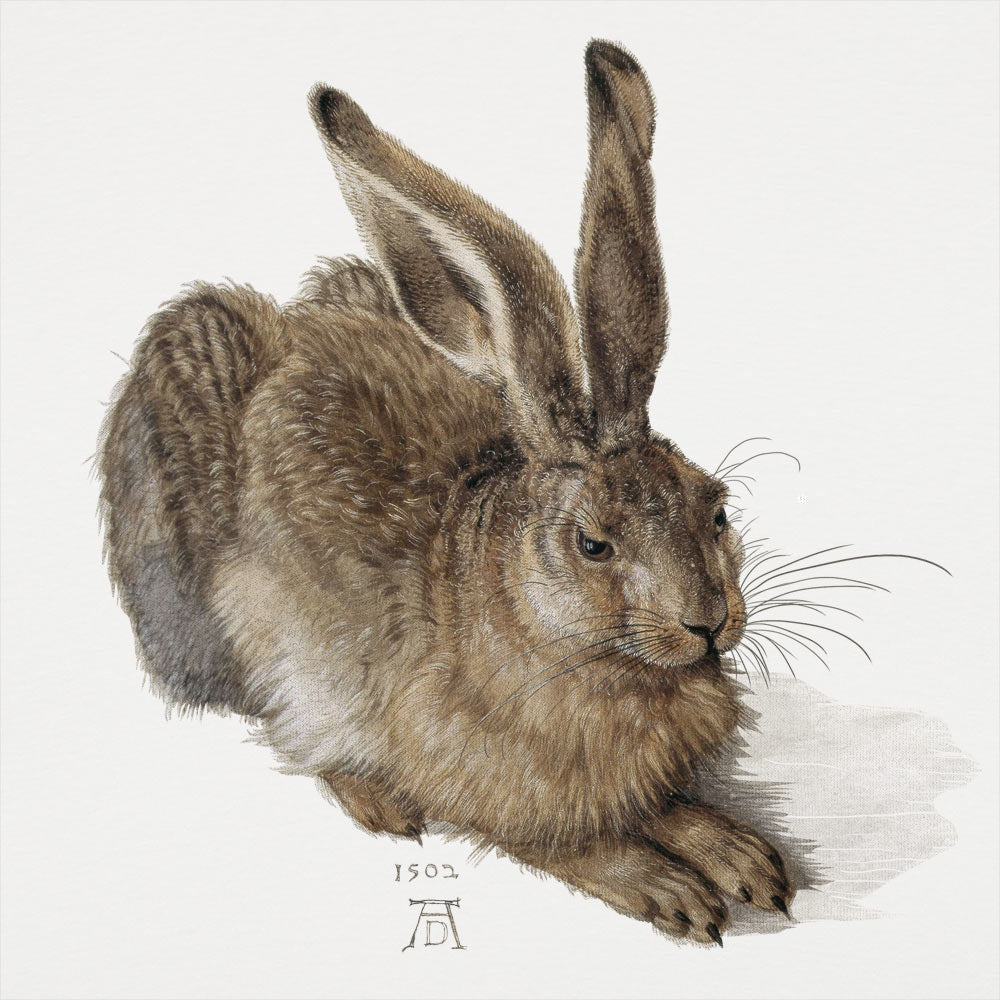 Albrecht Durerr Rabbit Full Color Renaissance Hare Painting – 6DollarShirts