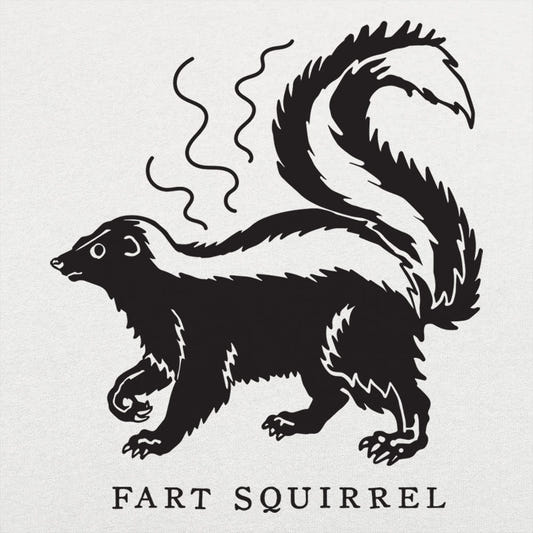 Fart Squirrel - 6DollarShirts