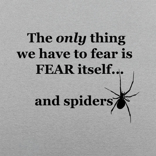 Fear And Spiders Famous Fear Itself Quote with Creepy Spider graphic Unisex Heavyweight T-Shirt in Gray Heather
