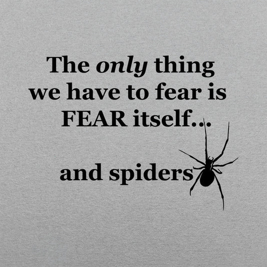 Fear And Spiders