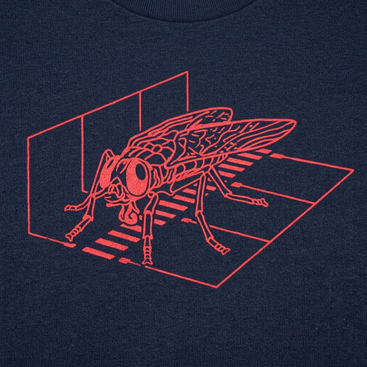 Fly Scan detail