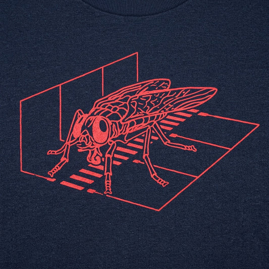 Fly Scan detail