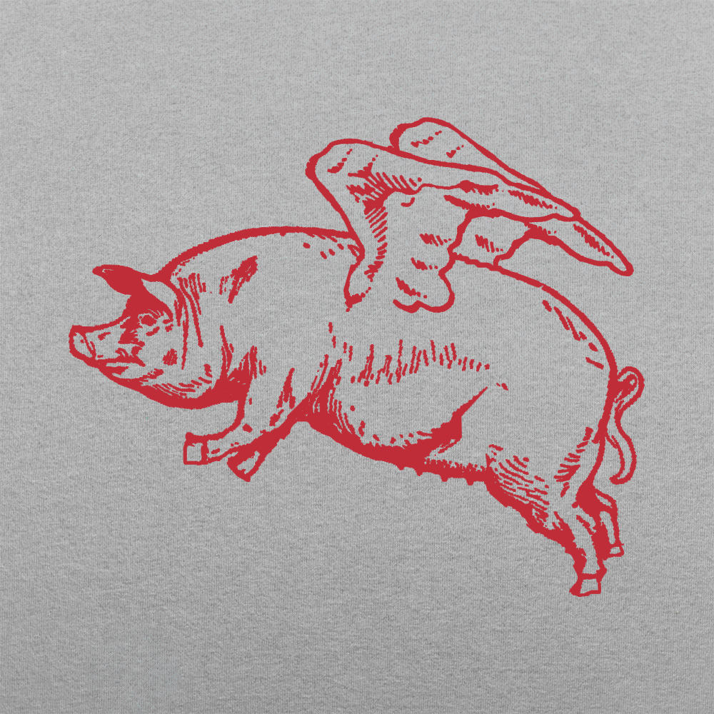 Flying Pig