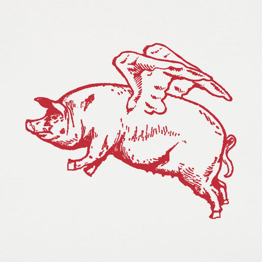 Flying Pig