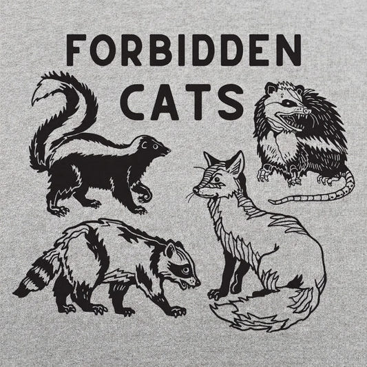 Forbidden Cats Skunk Fox Raccoon and Opossum detail