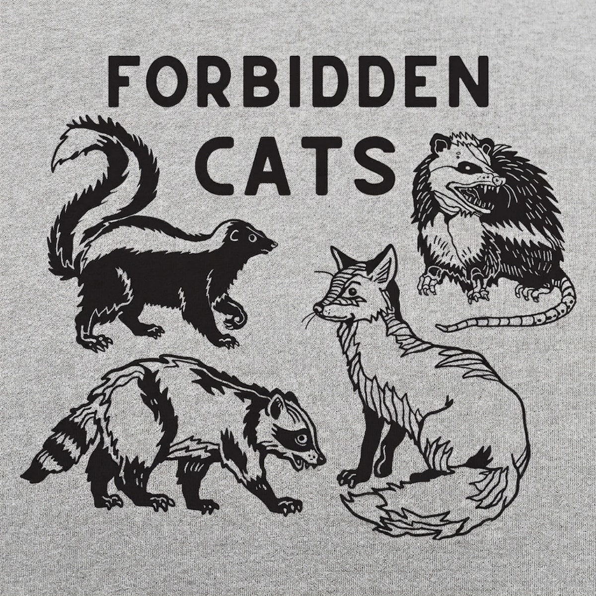 Forbidden Cats Skunk Fox Raccoon and Opossum detail