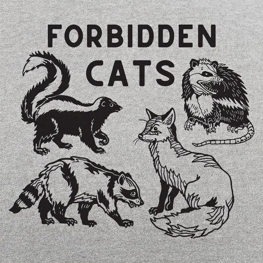 Forbidden Cats Skunk Fox Raccoon and Opossum detail