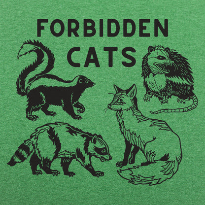 Forbidden Cats Skunk Fox Raccoon and Opossum