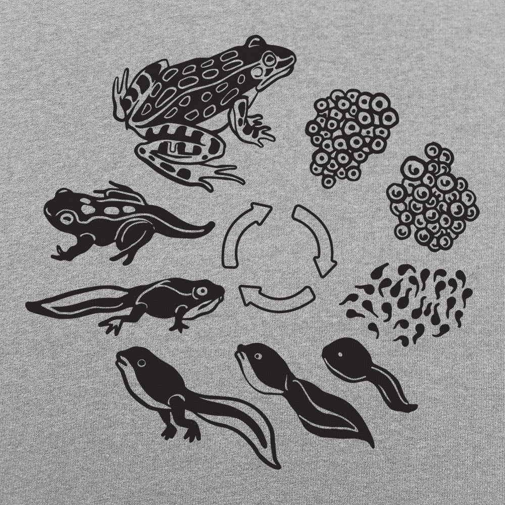 Frog Life Cycle - 6DollarShirts