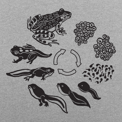 Frog Life Cycle - 6DollarShirts