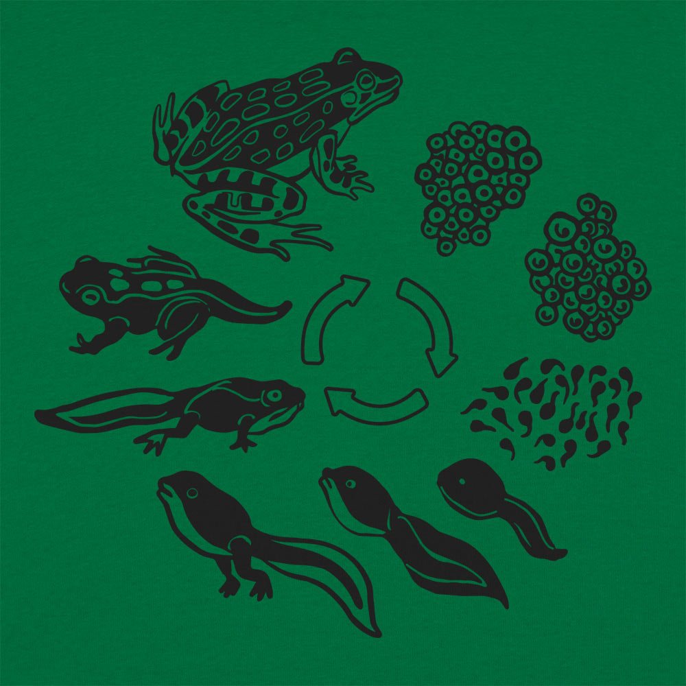 Frog Life Cycle - 6DollarShirts
