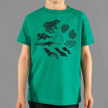 Frog Life Cycle - 6DollarShirts