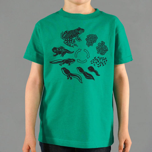 Frog Life Cycle - 6DollarShirts