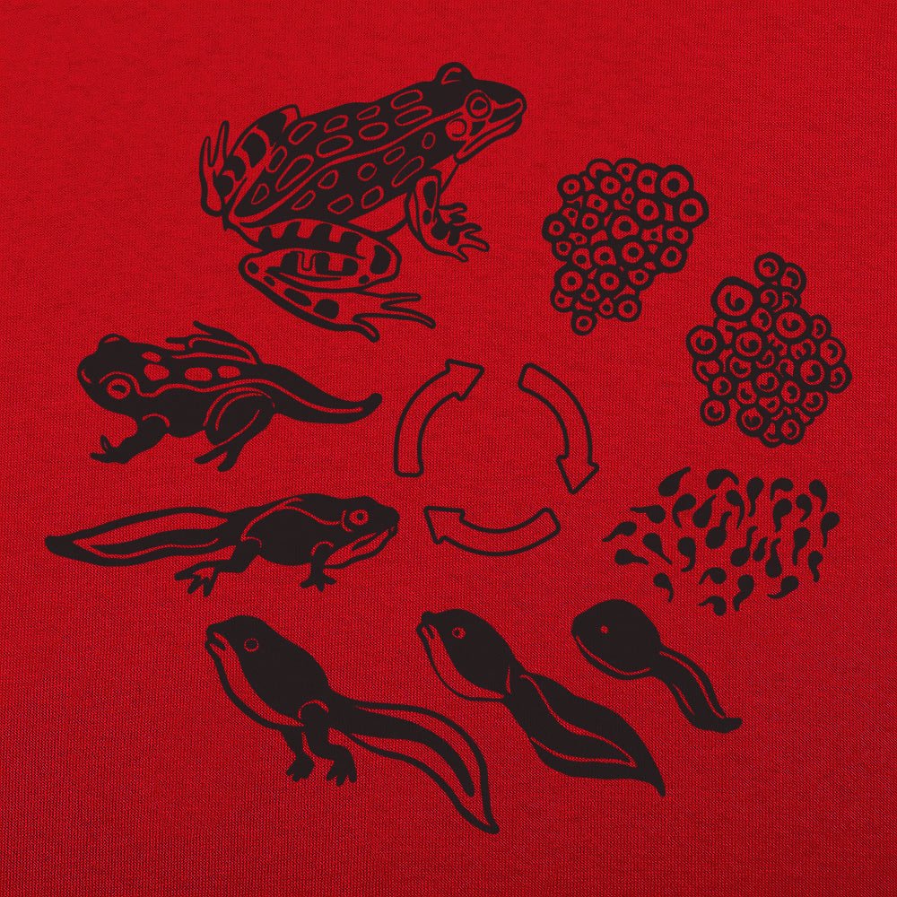 Frog Life Cycle - 6DollarShirts