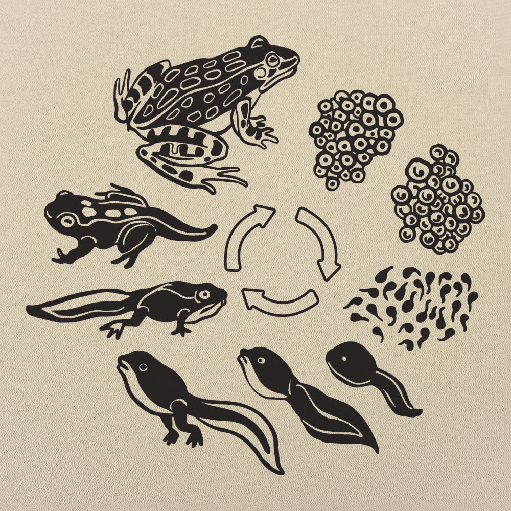 Frog Life Cycle - 6DollarShirts