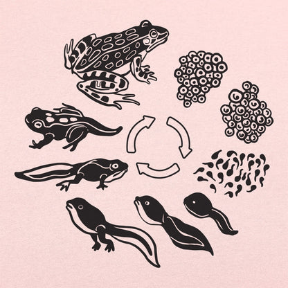 Frog Life Cycle - 6DollarShirts