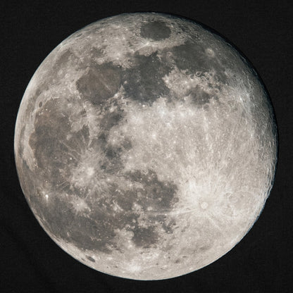 Full Moon Fever detail