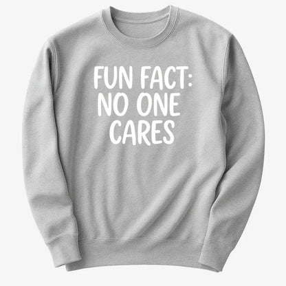 Fun Fact No One Cares-Sweater-Gray Heather