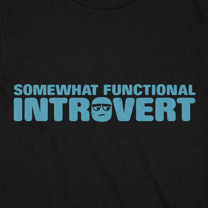 Functional Introvert detail