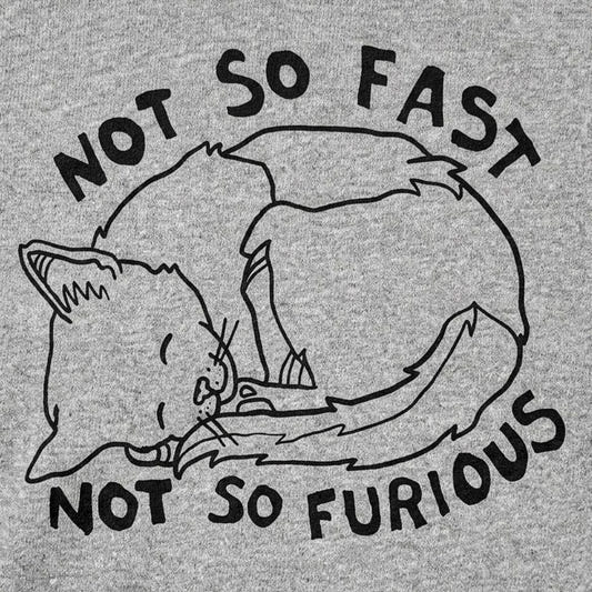 Not So Fast Not So Furious Sleeping Cat detail