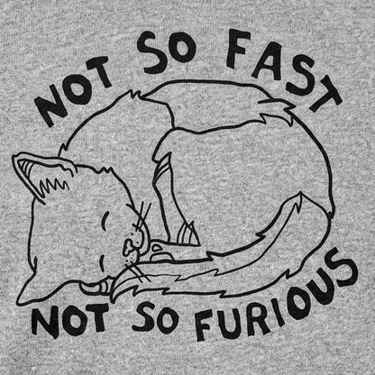 Not So Fast Not So Furious Sleeping Cat detail