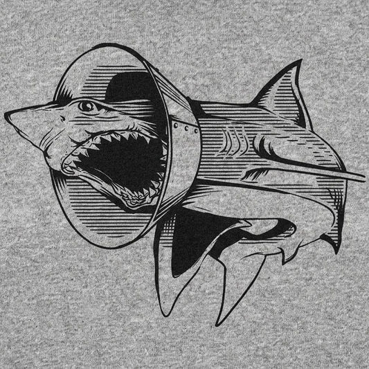 Sharky Boy the Great White Shark in a Cone Collar detail