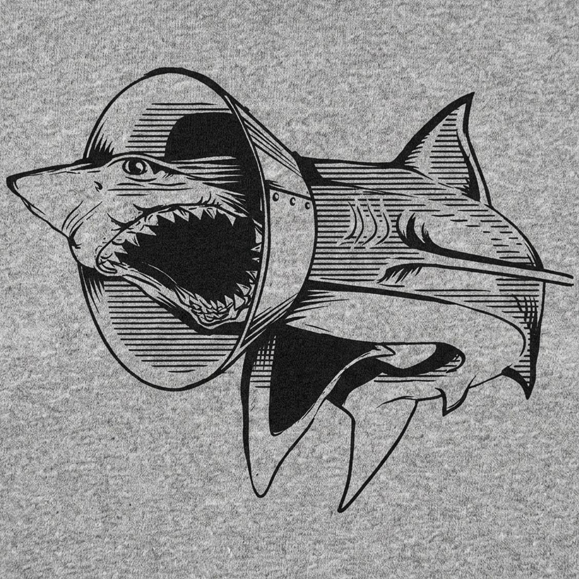 Sharky Boy the Great White Shark in a Cone Collar detail