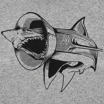 Sharky Boy the Great White Shark in a Cone Collar detail