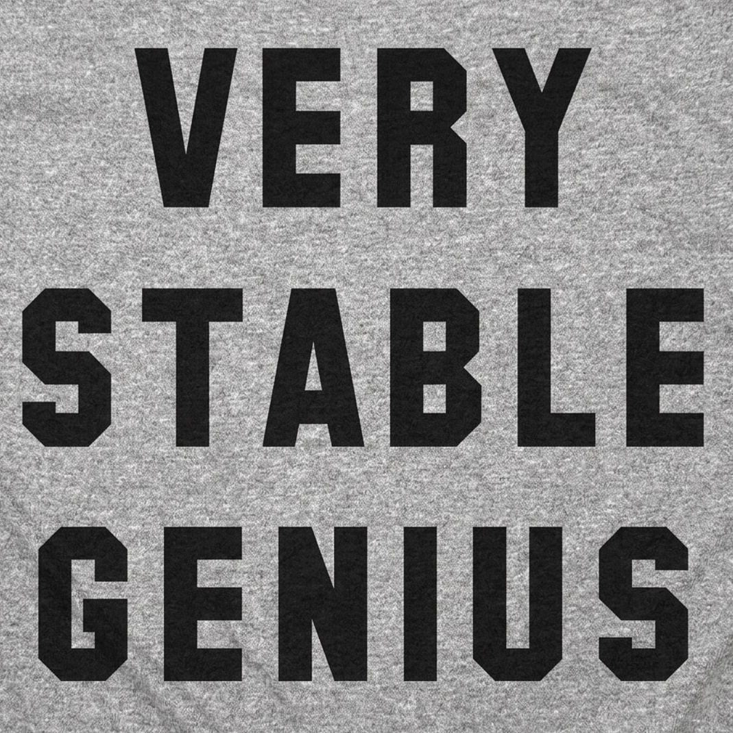 Very Stable Genius Sarcastic Political Quote detail