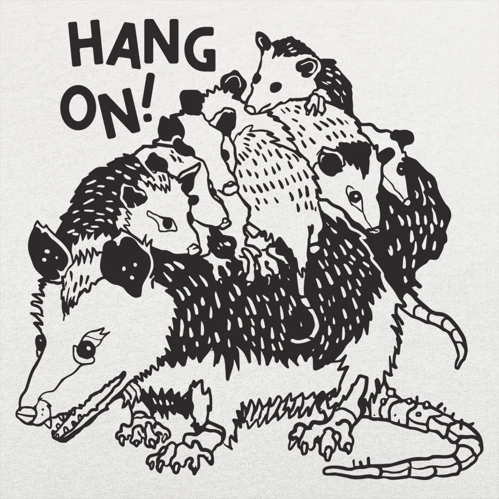 Hang On! - 6DollarShirts