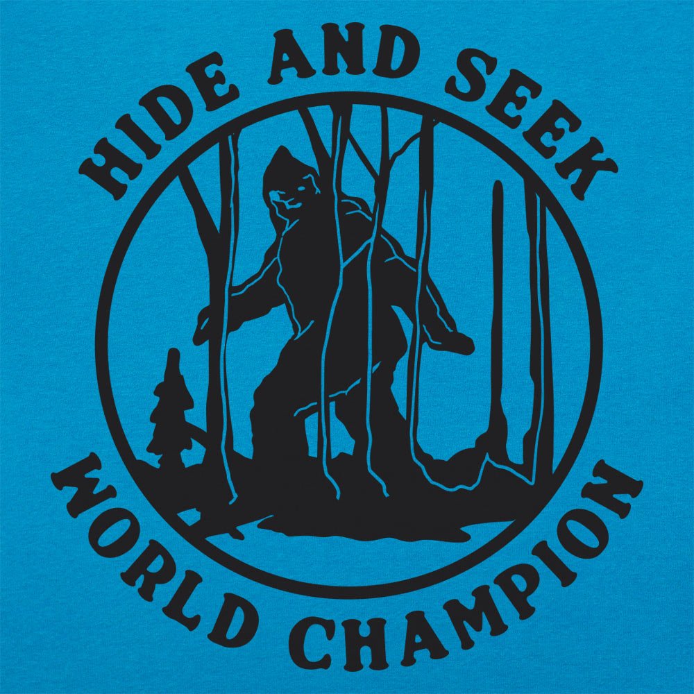 Hide and Seek Champ - 6DollarShirts
