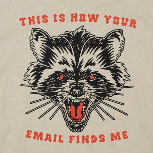 How Your Email Finds Me detail