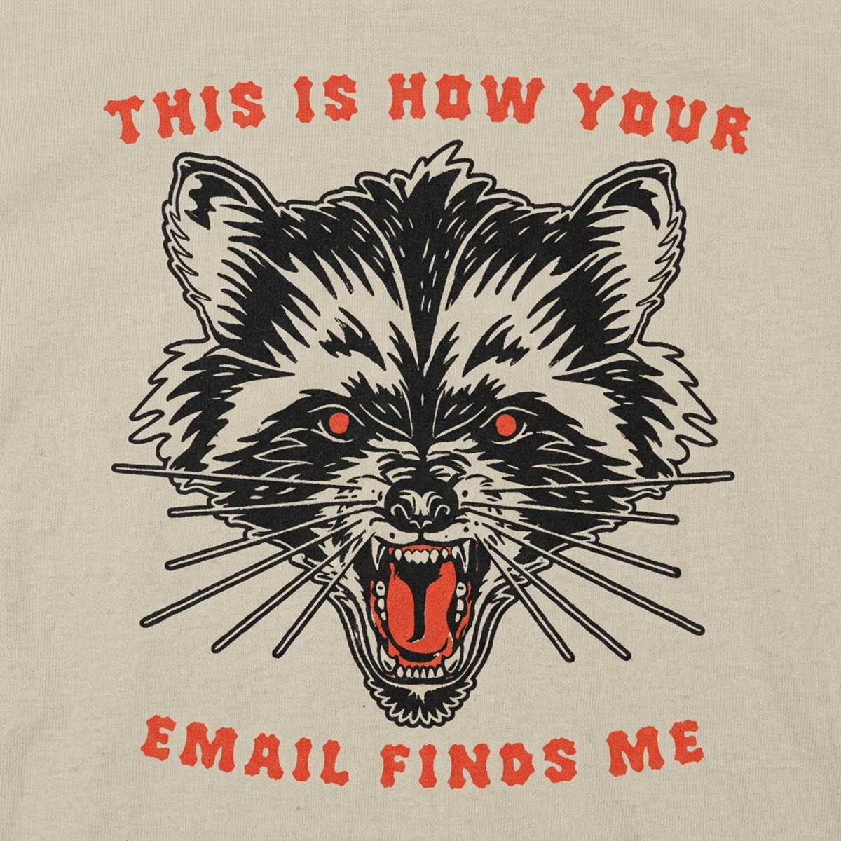How Your Email Finds Me detail