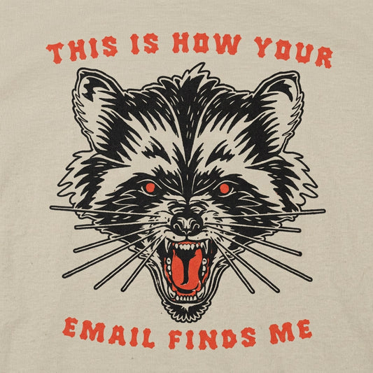 How Your Email Finds Me detail
