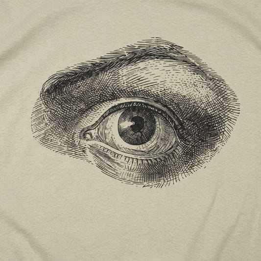 Human Eye detail