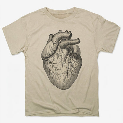 Human Heart Anatomical Illustration in Sand