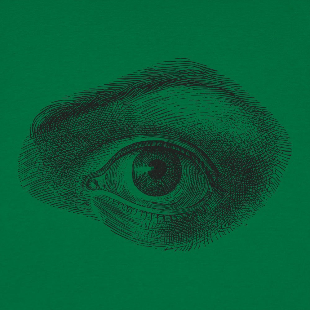 Human Eye - 6DollarShirts
